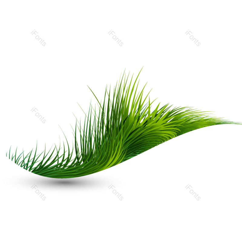 边框图片,绿色植被元素,时尚简约PNG,草坪免抠素材